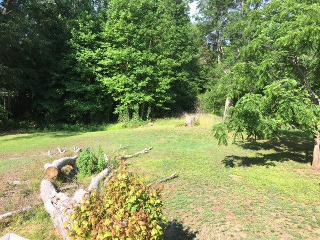 For Sale: 230 Iron Bridge Rd Cowpens, SC 29330