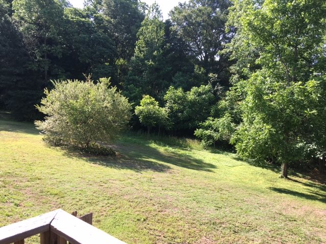 For Sale: 230 Iron Bridge Rd Cowpens, SC 29330