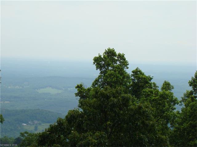 For Sale: 111 Foggy Cut Ln Landrum, SC 29356
