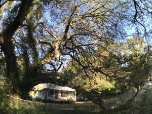 1745 Brittlebush Ln