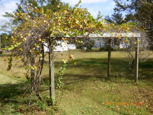 217 Gants Rd