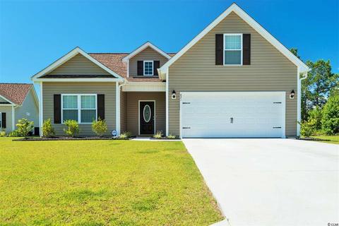 3561 Highway 19