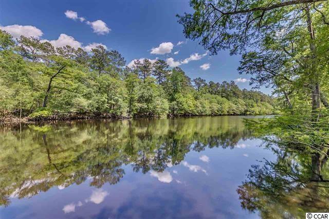 For Sale: Tbd The Bay Conway, SC 29526
