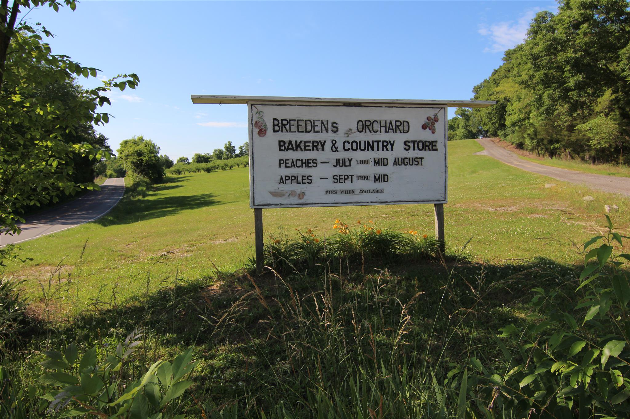 For Sale: 631 Beckwith Rd Mount Juliet, TN 37122