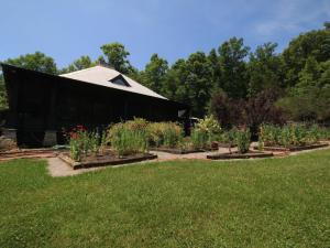 For Sale: 1131 Reagan Valley Rd Tellico Plains, TN 37385