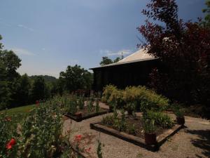 For Sale: 1131 Reagan Valley Rd Tellico Plains, TN 37385