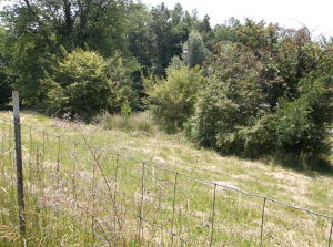 For Sale: 4324 Knoxville Hwy Oliver Springs, TN 37840