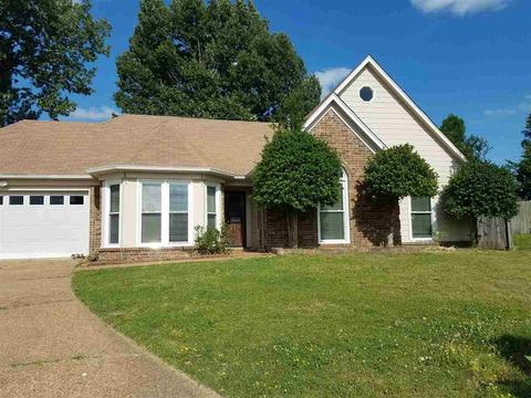 7753 Shadowland Dr