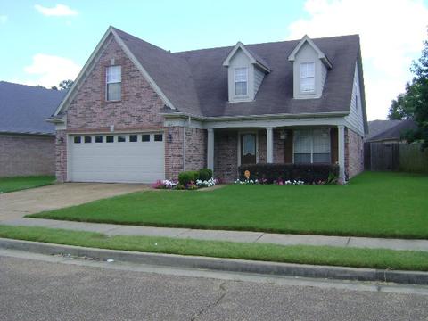 4390 Donnegan Cv