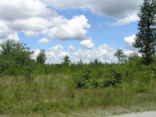 0 Indian Springs Hwy8