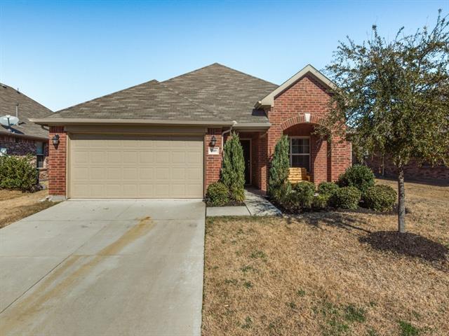 1253 Sandpiper