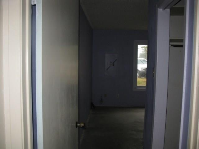 6313 Fm 1504