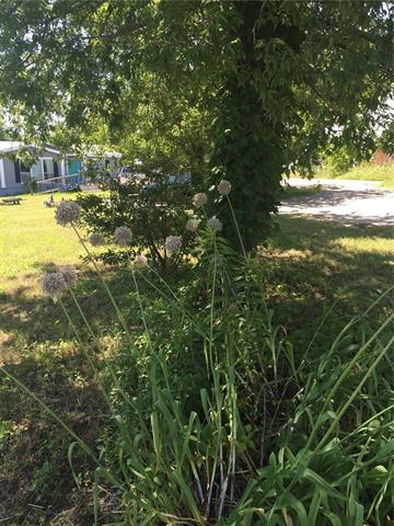 For Sale: 8906 Tumble Weed Trl Princeton, TX 75407