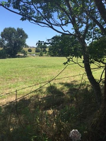 For Sale: 8906 Tumble Weed Trl Princeton, TX 75407