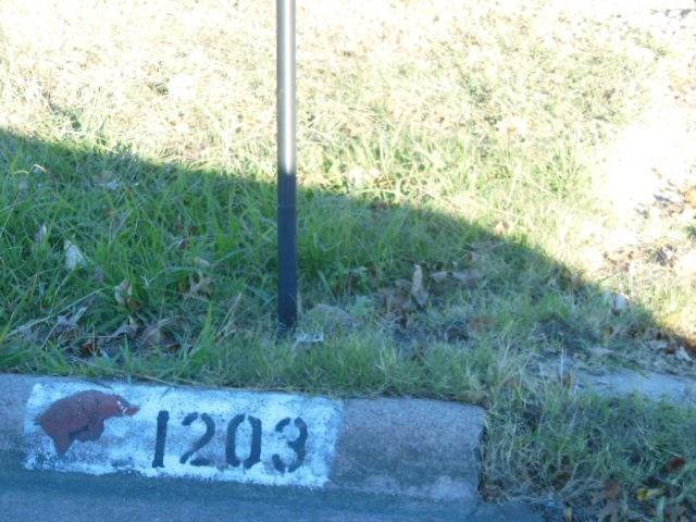 1203 Culver St