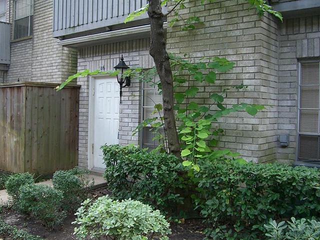 3800 Tanglewilde St #703