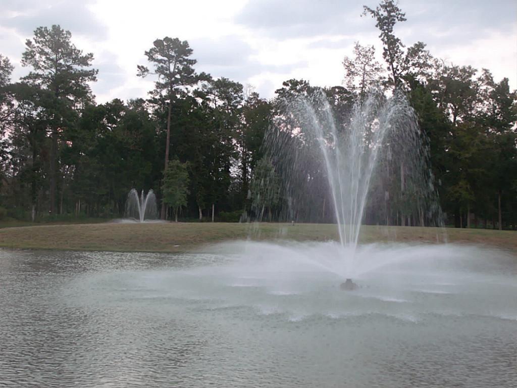 For Sale: 150 Verismo Ct Montgomery, TX 77316