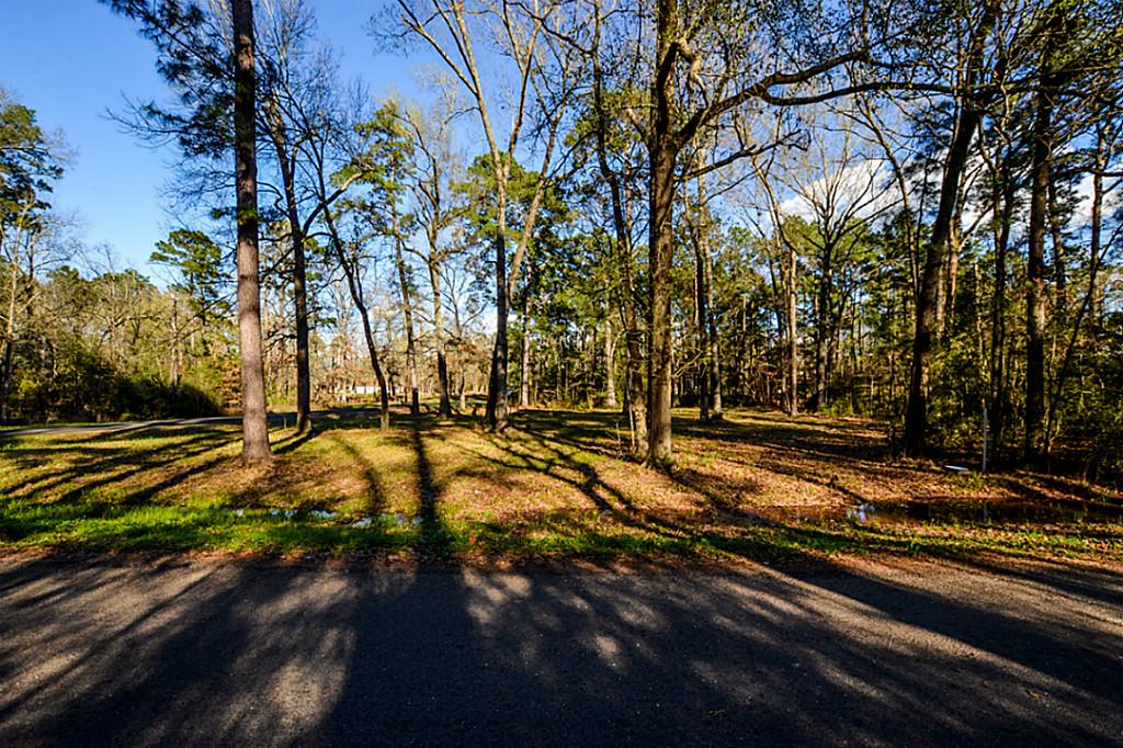 141 Persimmon Rd