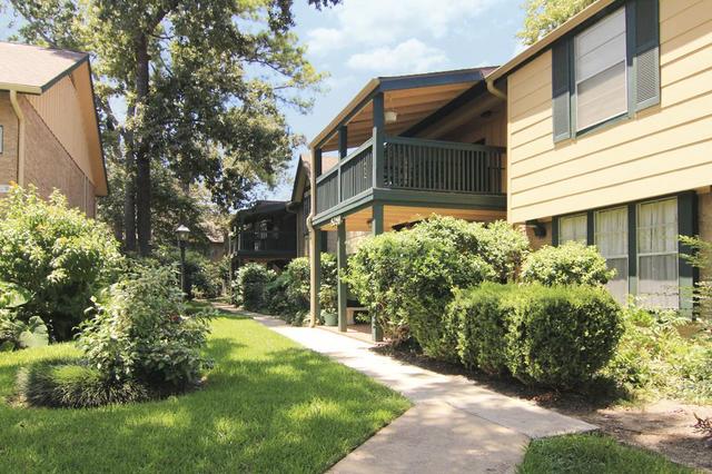 909 Silber Rd #24