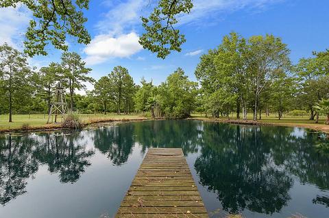 8831 Hadden Rd