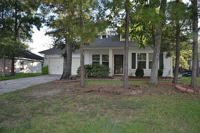 13626 Kodiak Brown Bear St
