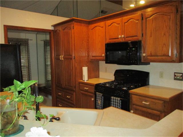 204 Hornbeam