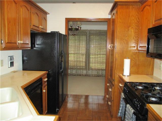 204 Hornbeam
