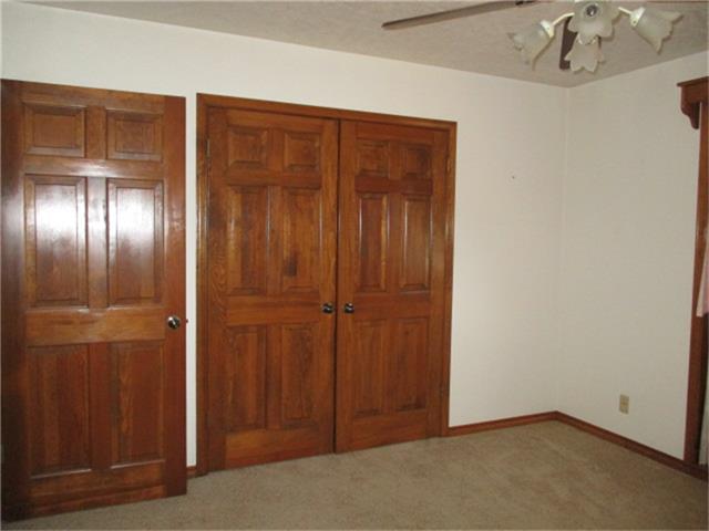 204 Hornbeam
