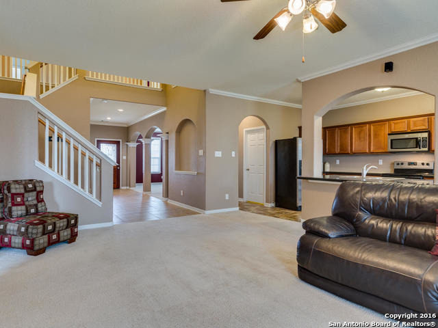 3802 Maiden Way