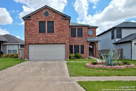 9732 Autumn Arbor
