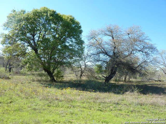 113 Abrego Ridge Dr