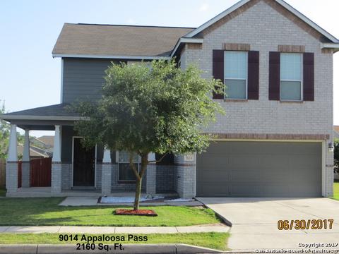 9006 Appaloosa Pass