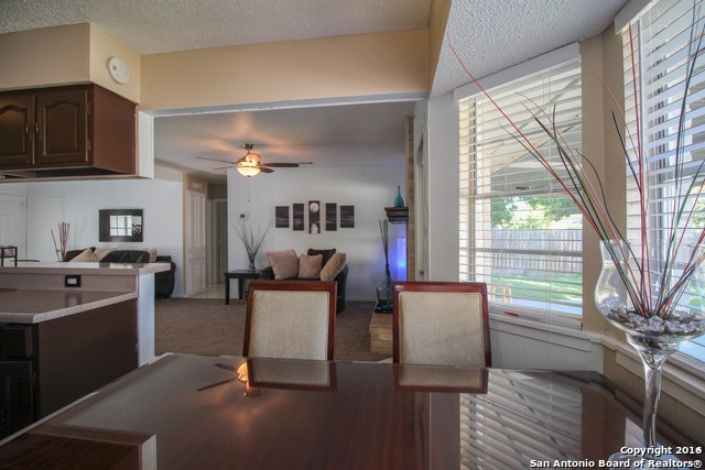 3511 Vinecrest Dr San Antonio, TX 78219