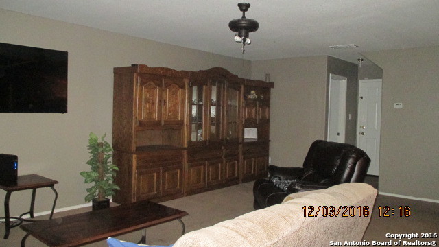 251 Hallie Cv
