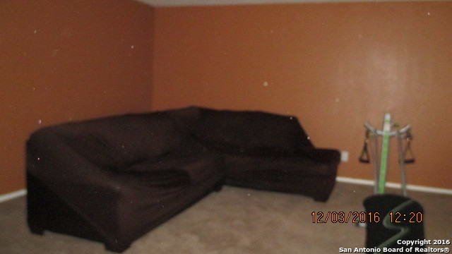 251 Hallie Cv