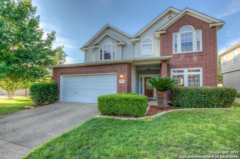 16934 Hidden Timber Wood