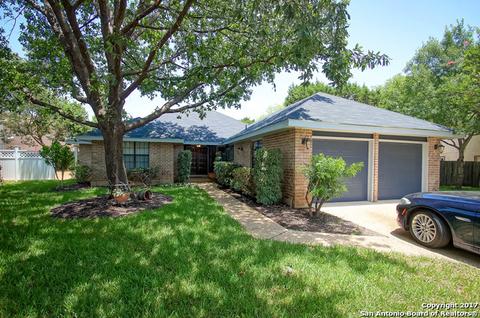 16934 Hidden Timber Wood