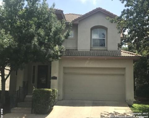 16934 Hidden Timber Wood