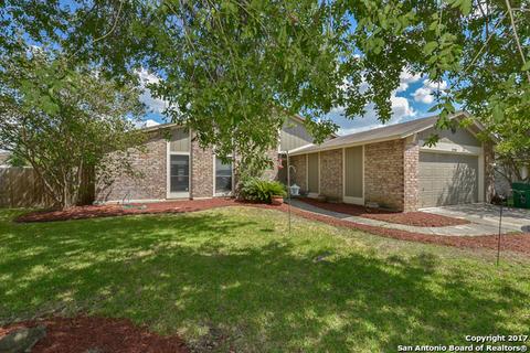 4259 First View Dr