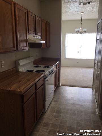 8006 Wayside Trl