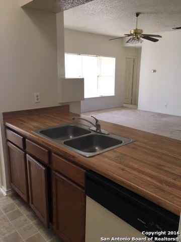 8006 Wayside Trl