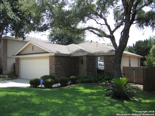 15727 Ashley Mnr San Antonio, TX 78247