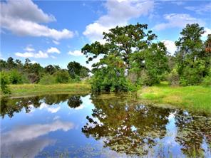 For Sale: 1403 Lower Elgin Rd Elgin, TX 78621