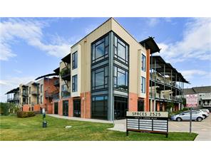 2525 S Lamar Blvd #317