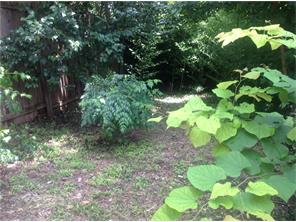 For Sale: 1713 Giles St Austin, TX 78722