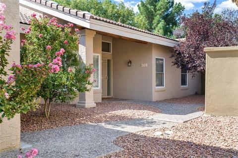 533 Shadow Willow Dr