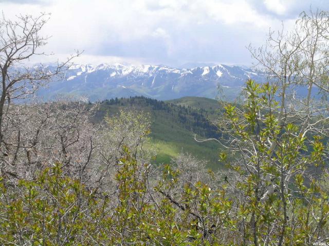 For Sale: 1451 Forestmeadow Rd Coalville, UT 84017