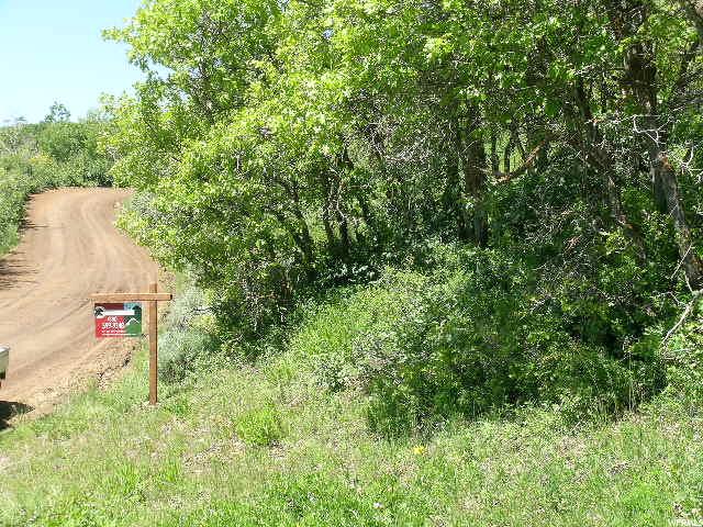 For Sale: 1451 Forestmeadow Rd Coalville, UT 84017