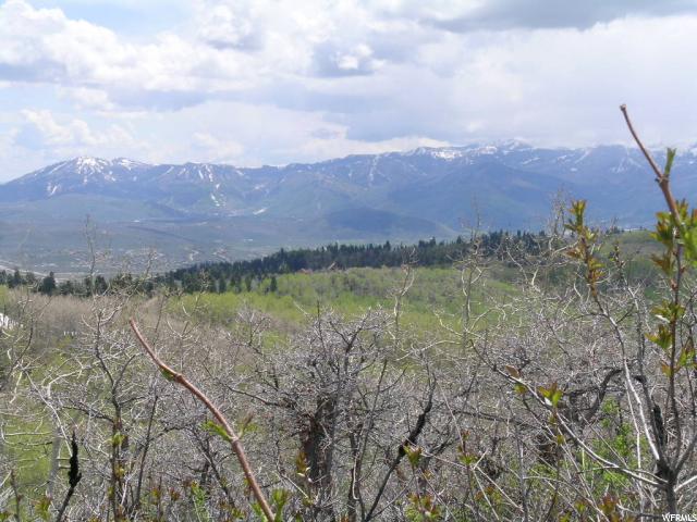 For Sale: 2879 Forest Meadows Rd Coalville, UT 84017