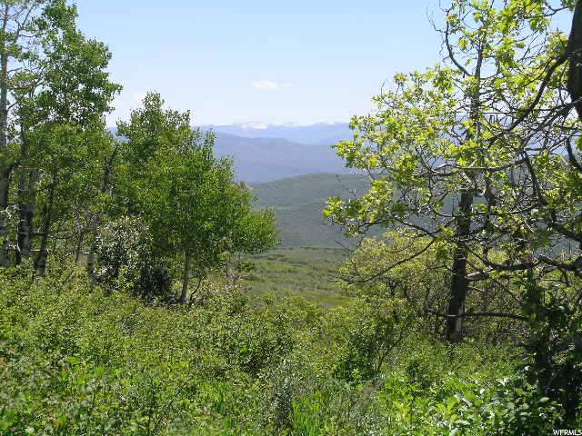 For Sale: 2879 Forest Meadows Rd Coalville, UT 84017